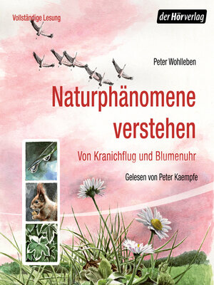 cover image of Naturphänomene verstehen
